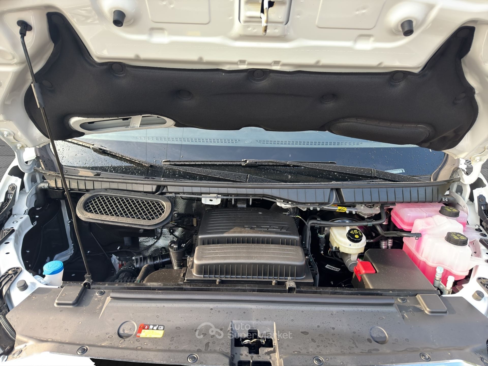 Maxus Deliver9