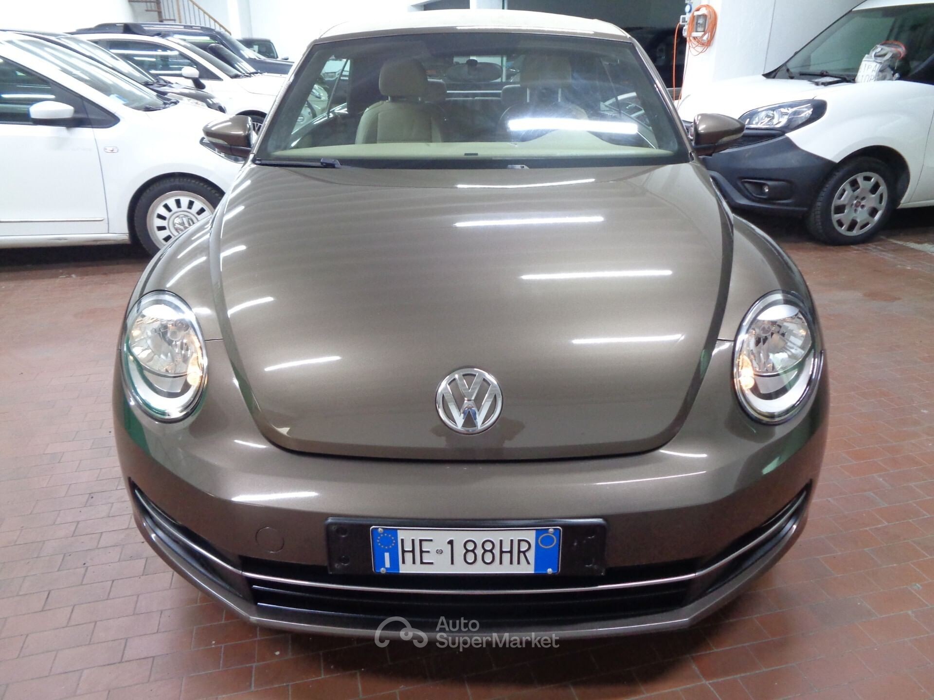 Volkswagen Maggiolino