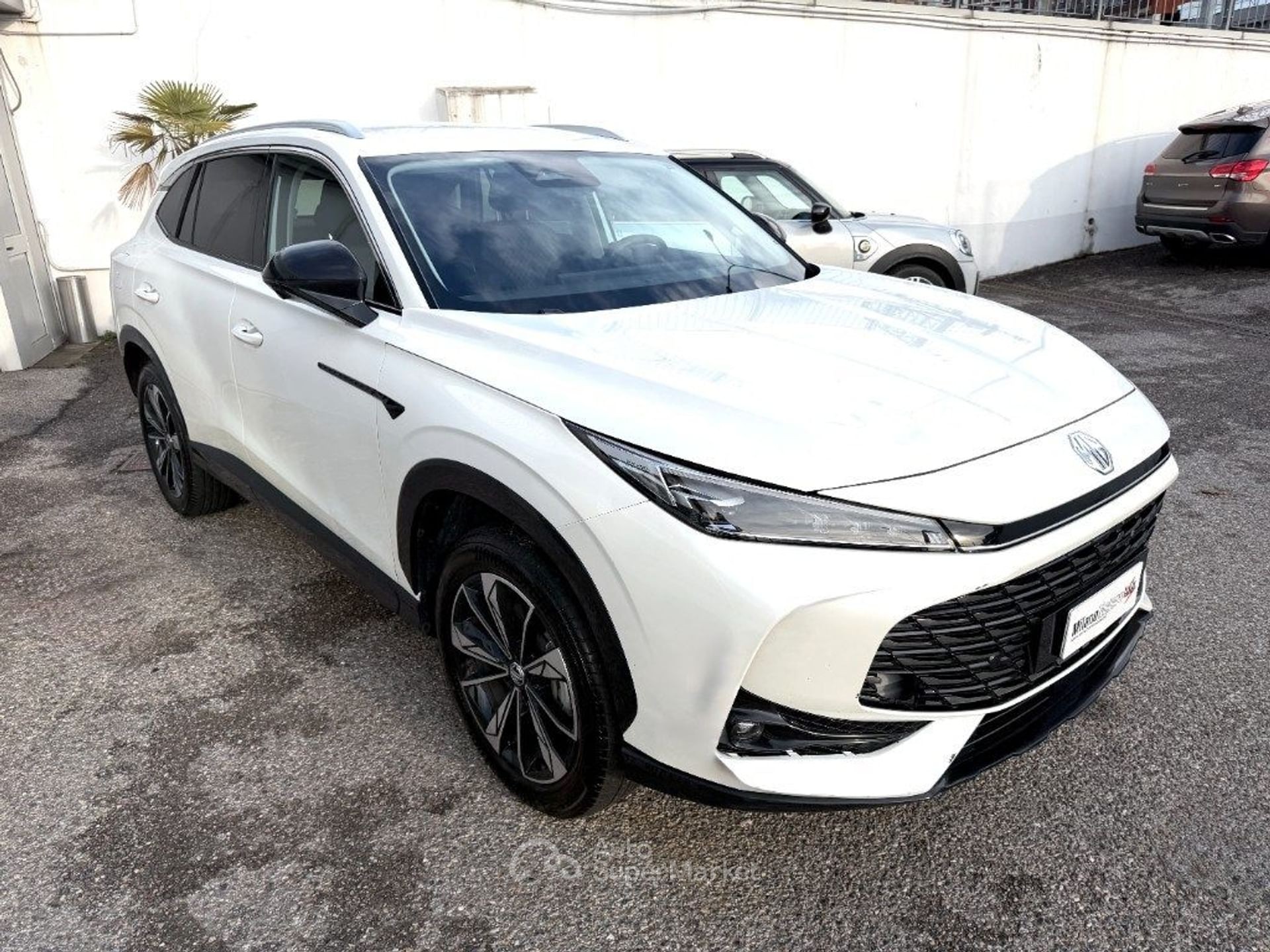 MG HS