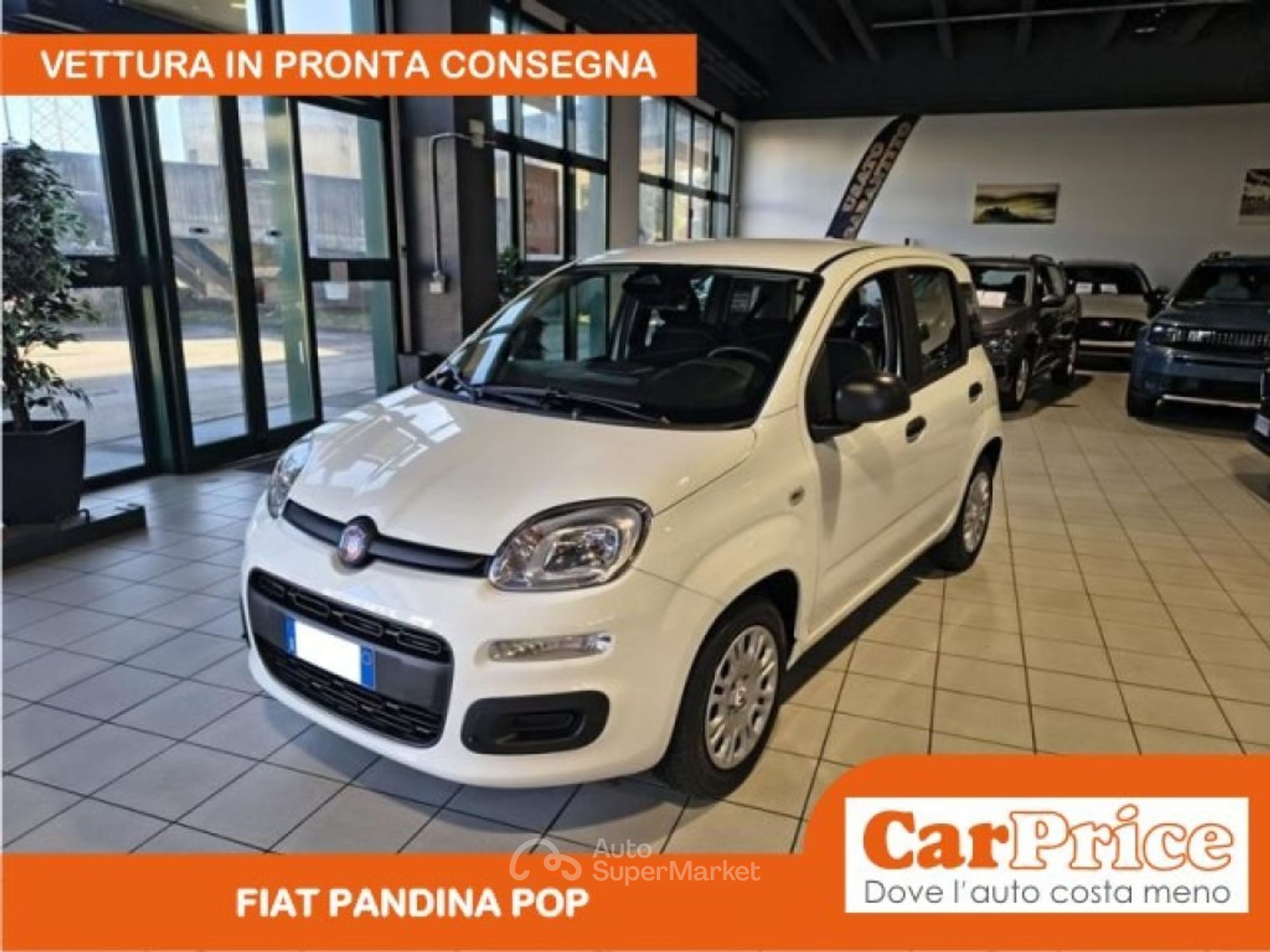 Fiat Pandina