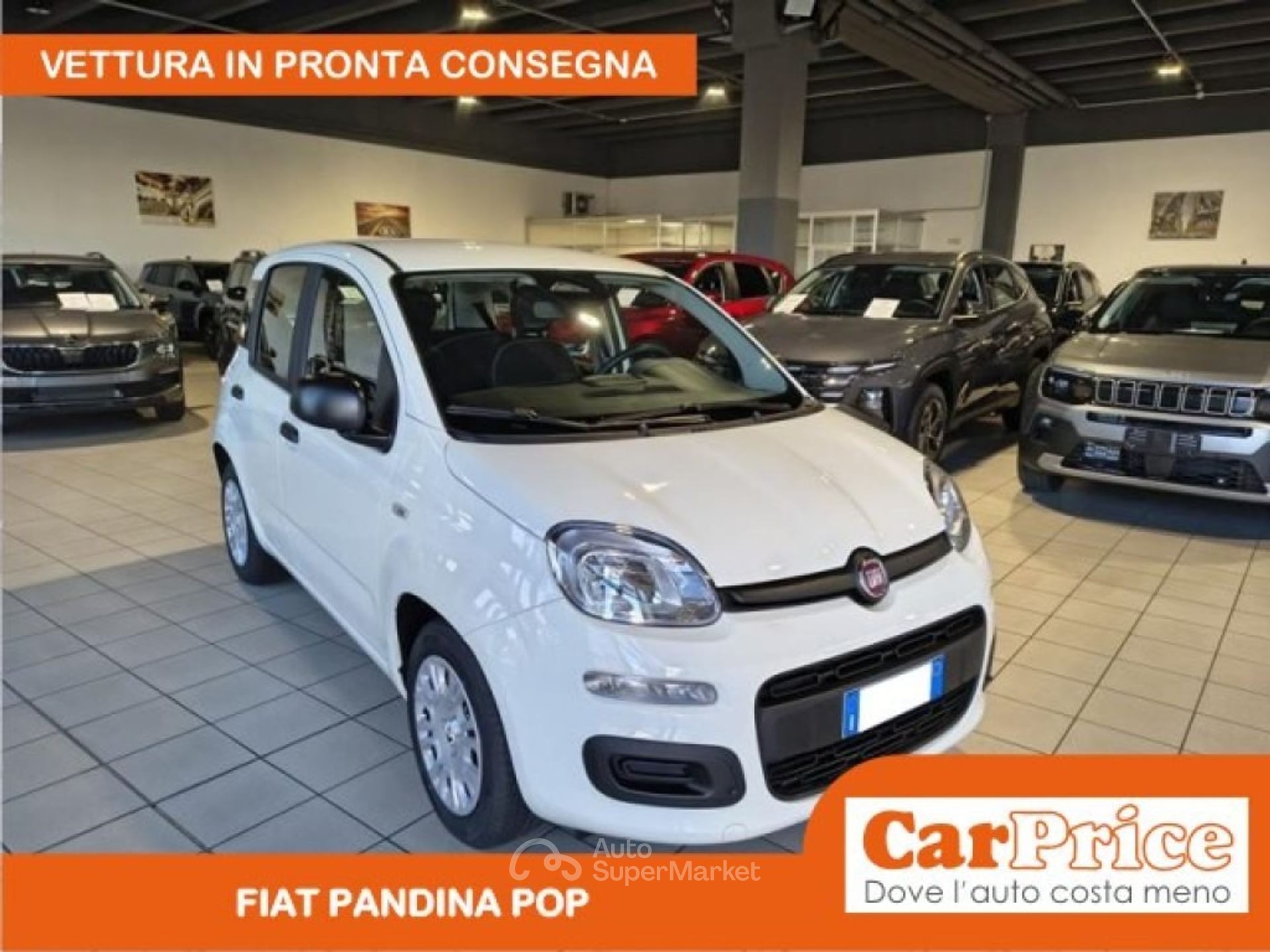 Fiat Pandina