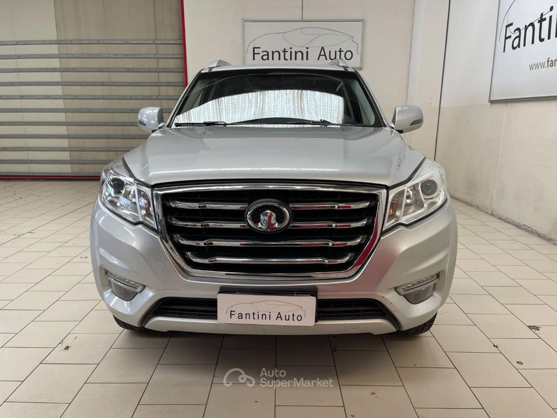 Great Wall Steed
