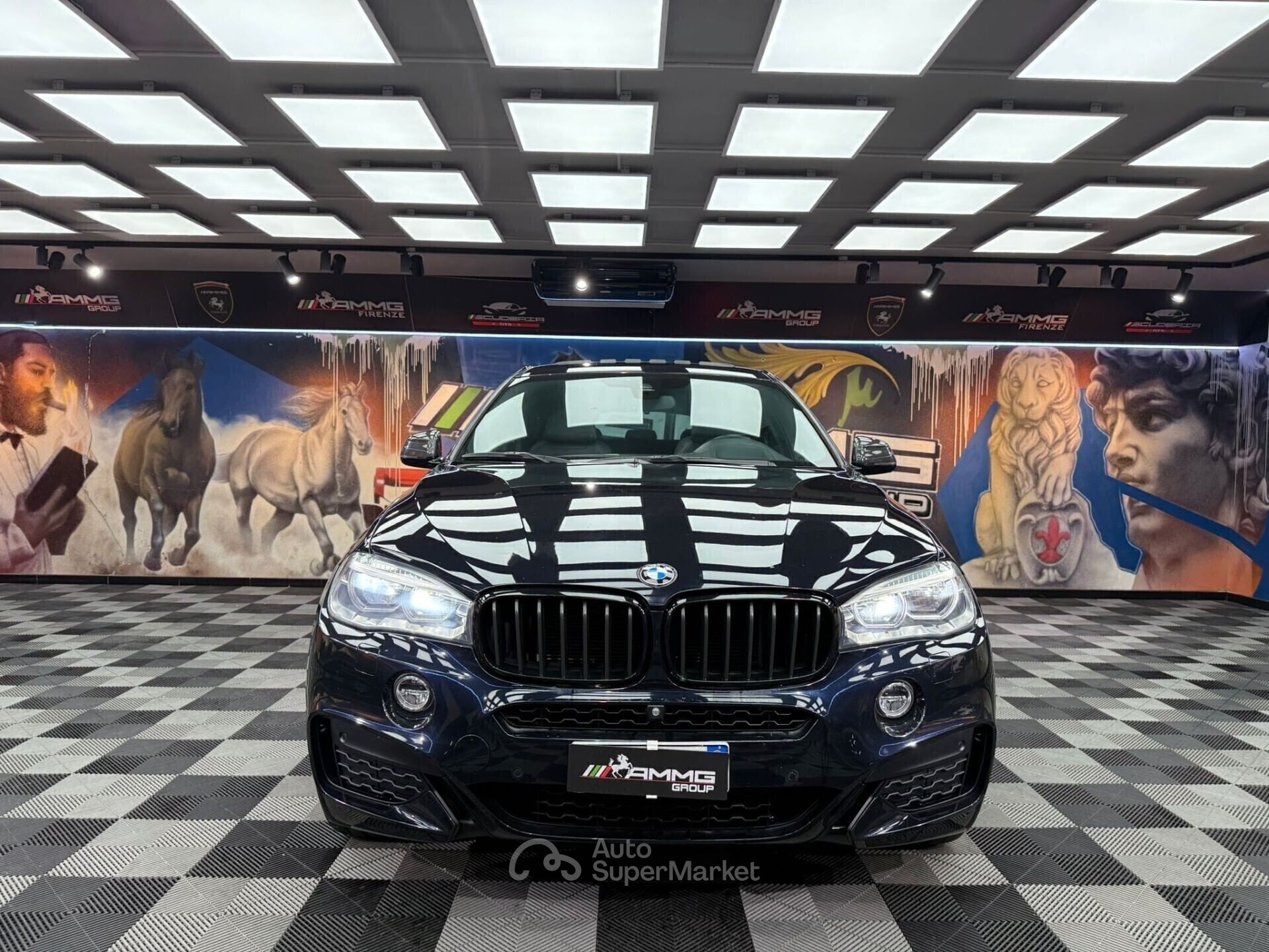 BMW X6
