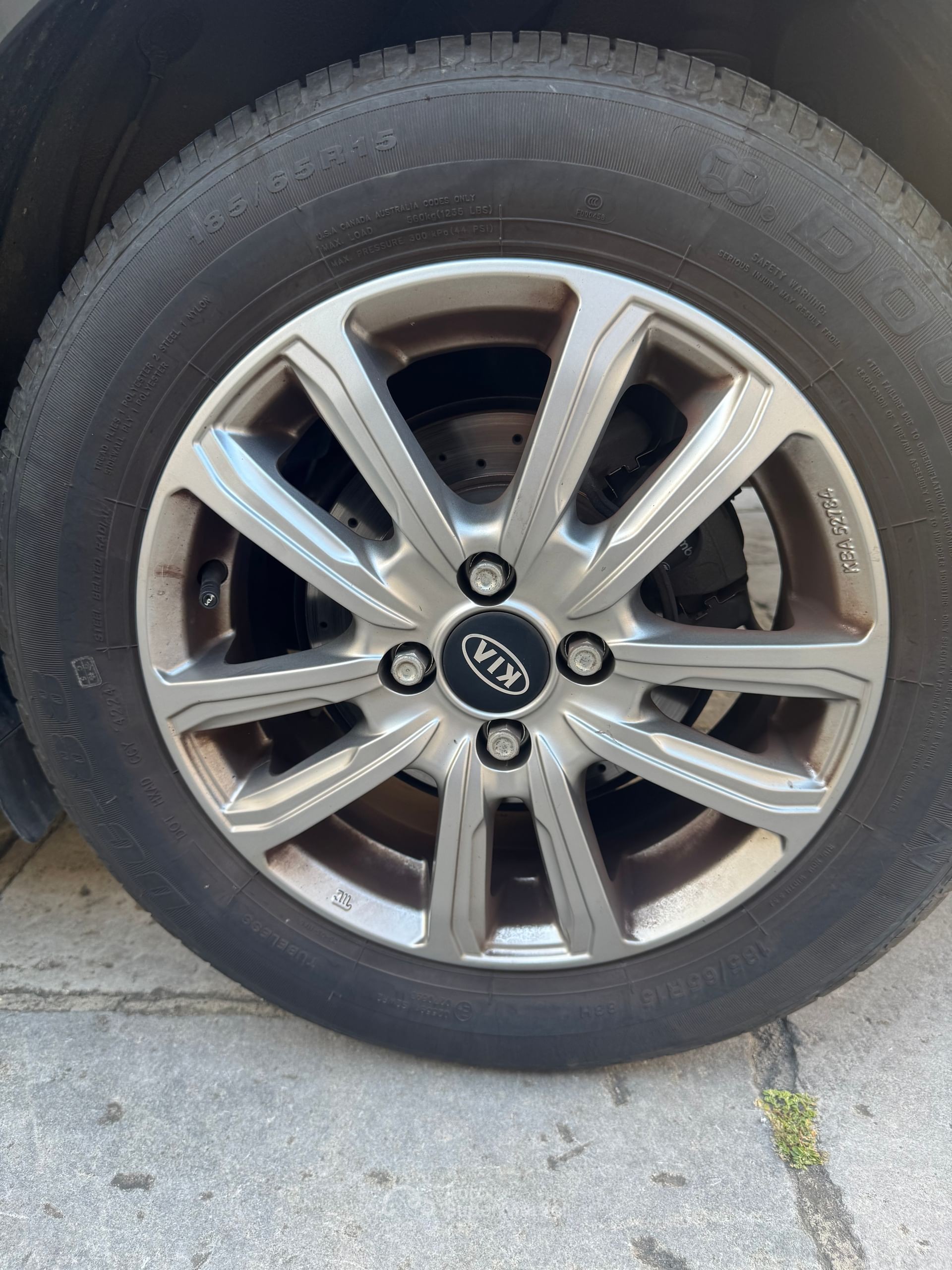 Kia Rio
