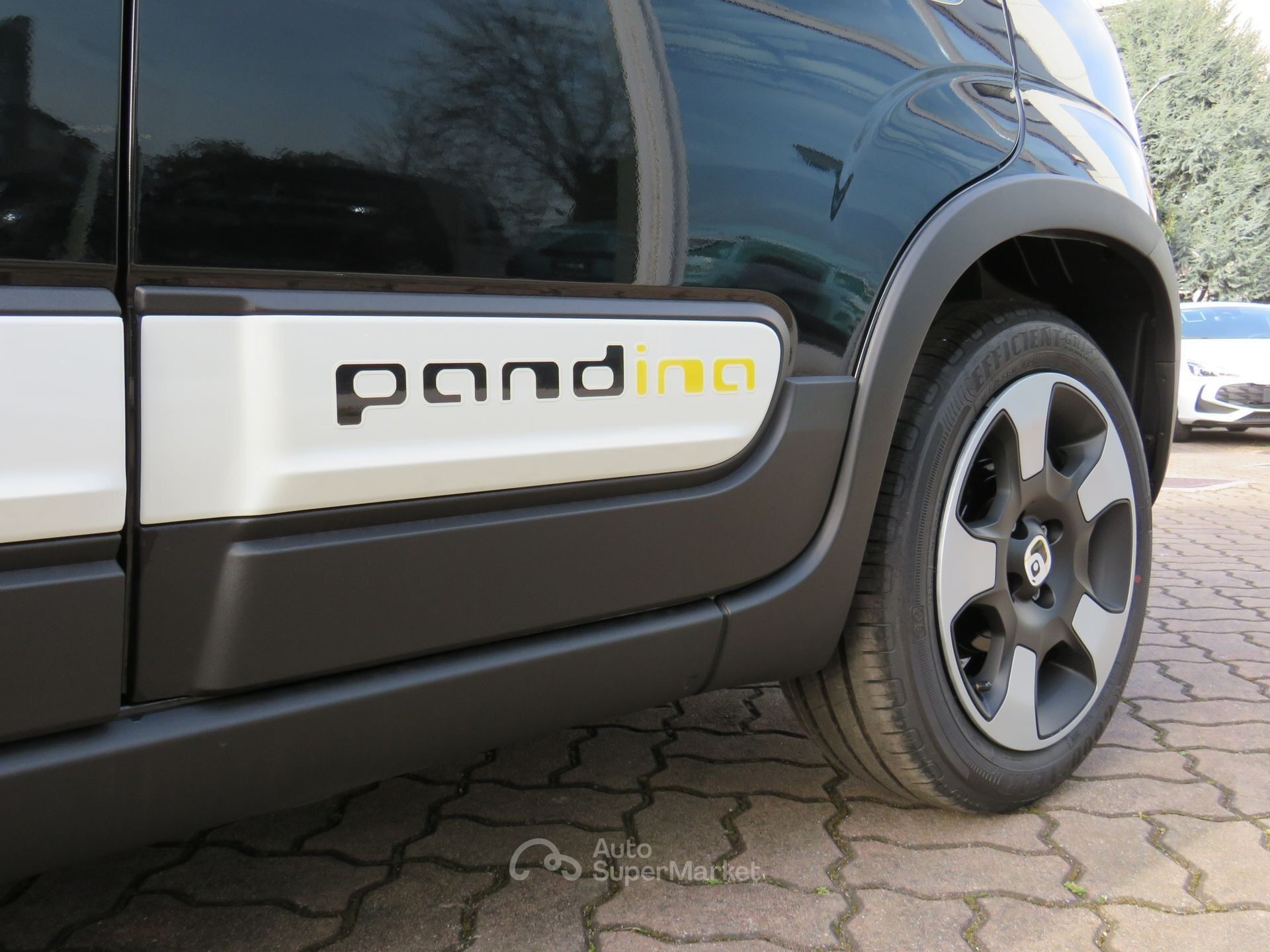 Fiat Pandina