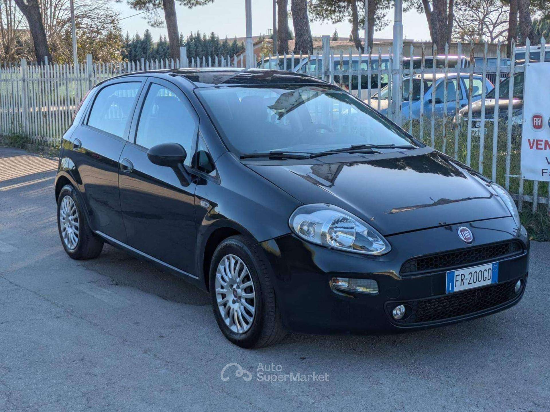 Fiat Punto