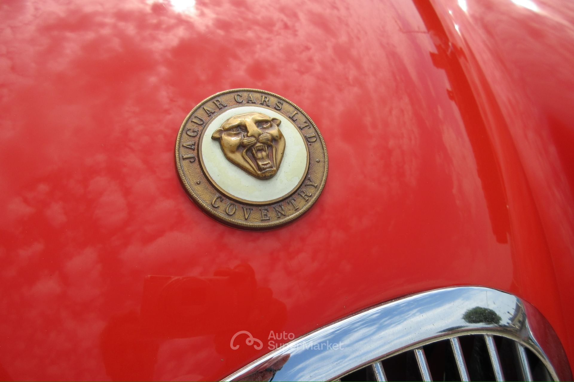 Jaguar XK120