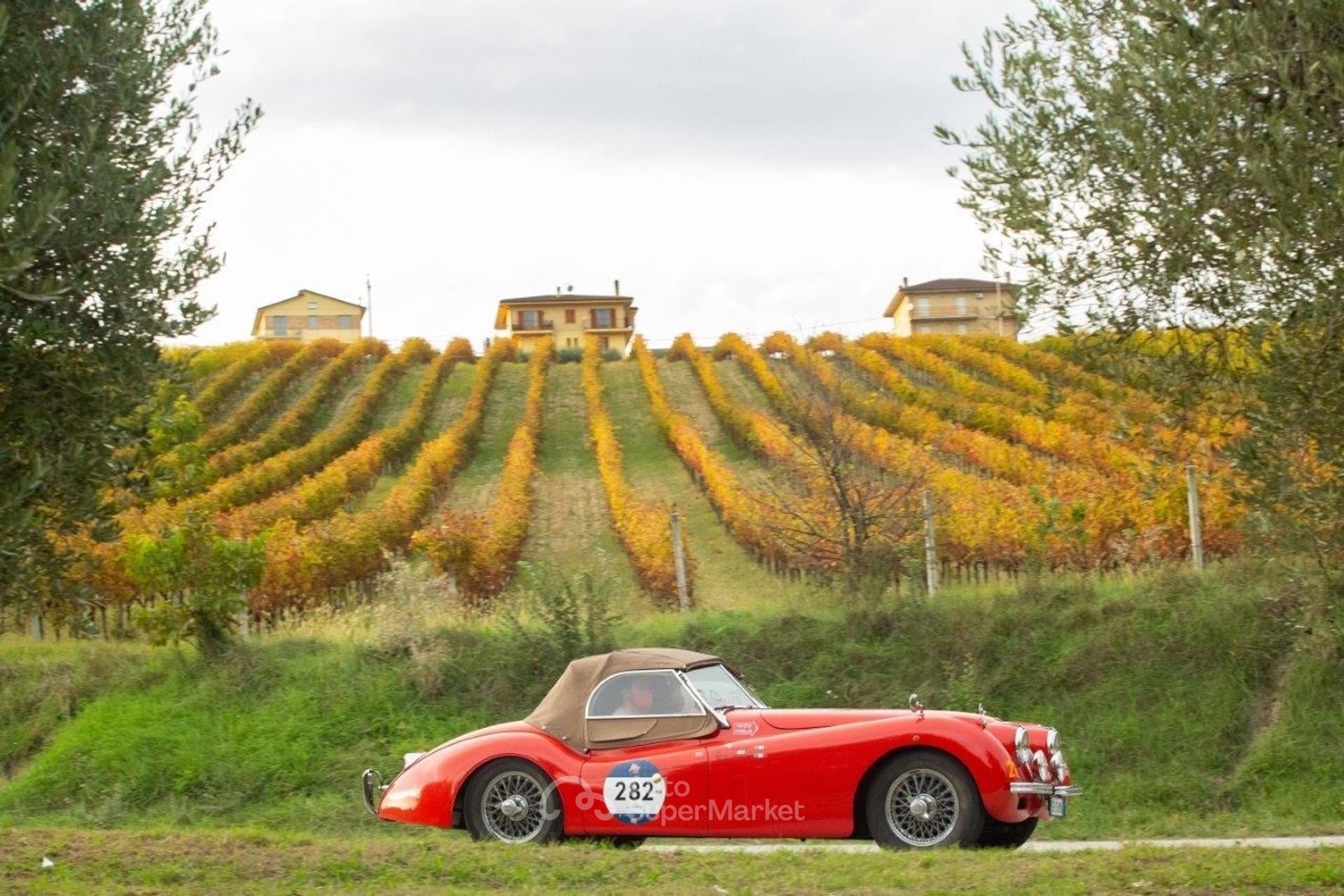 Jaguar XK120
