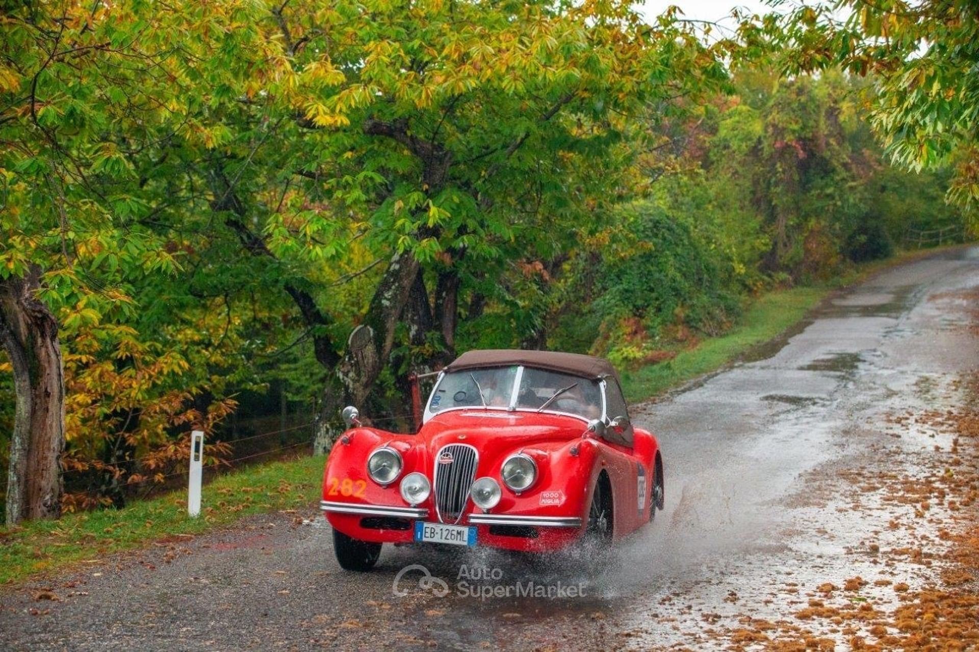 Jaguar XK120