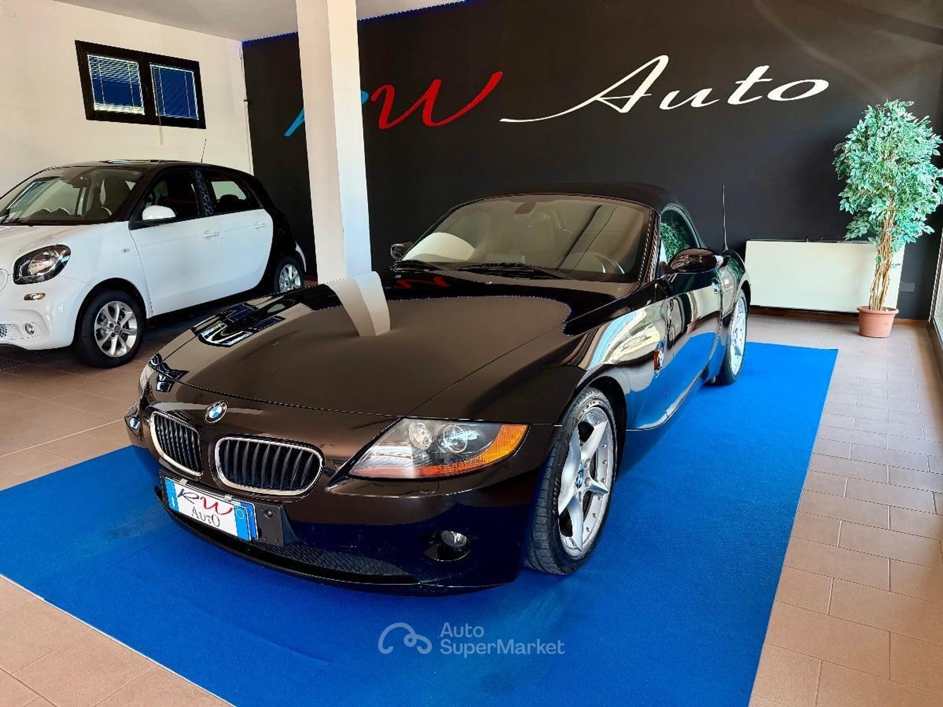 BMW Z4