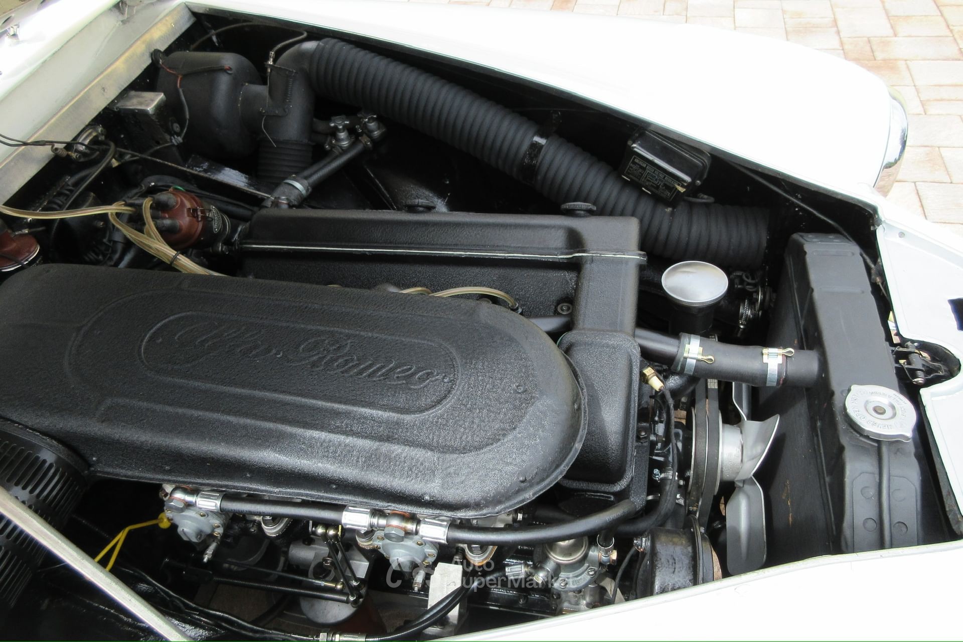 Alfa Romeo 1900 C