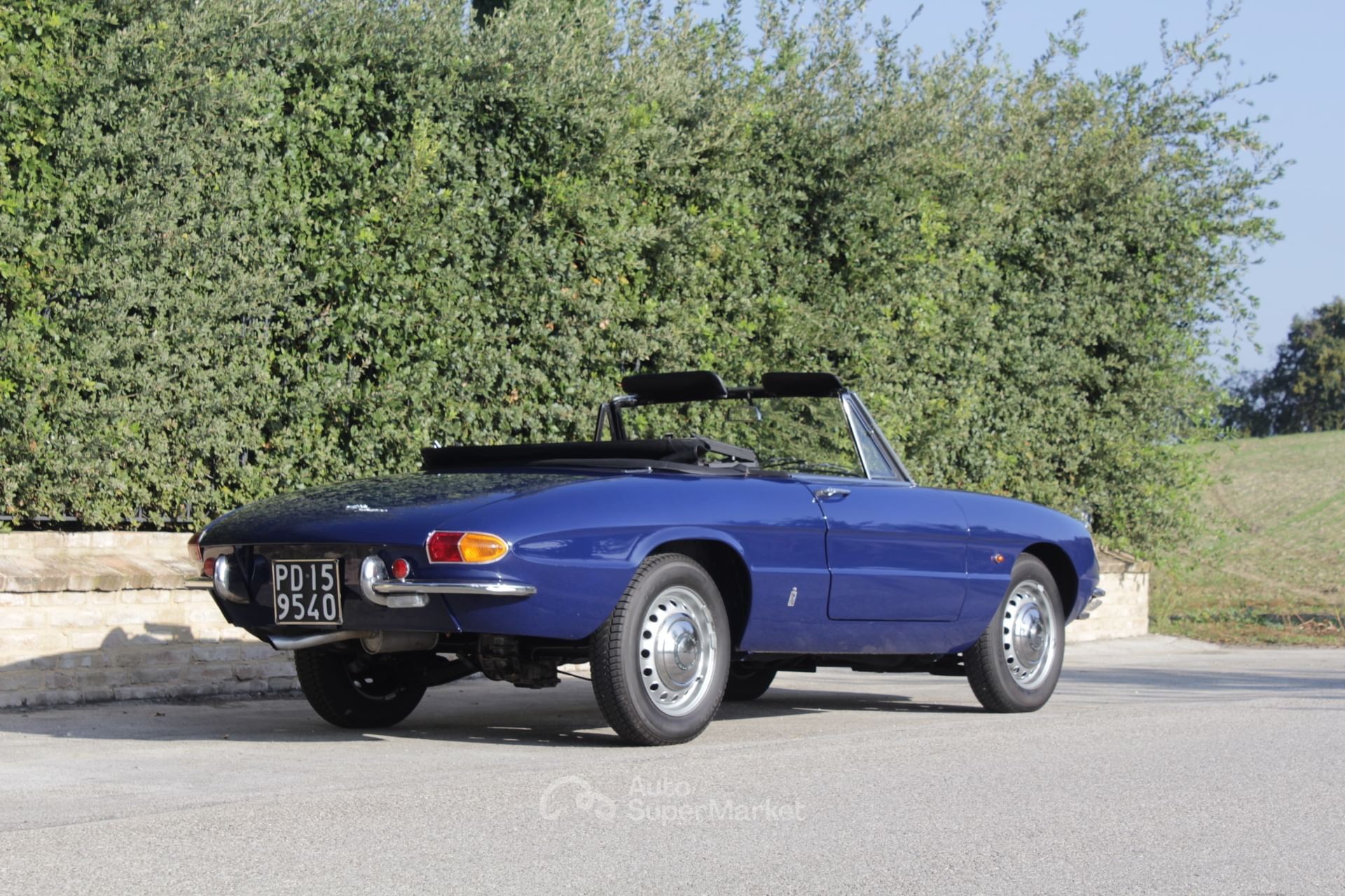 Alfa Romeo Spider