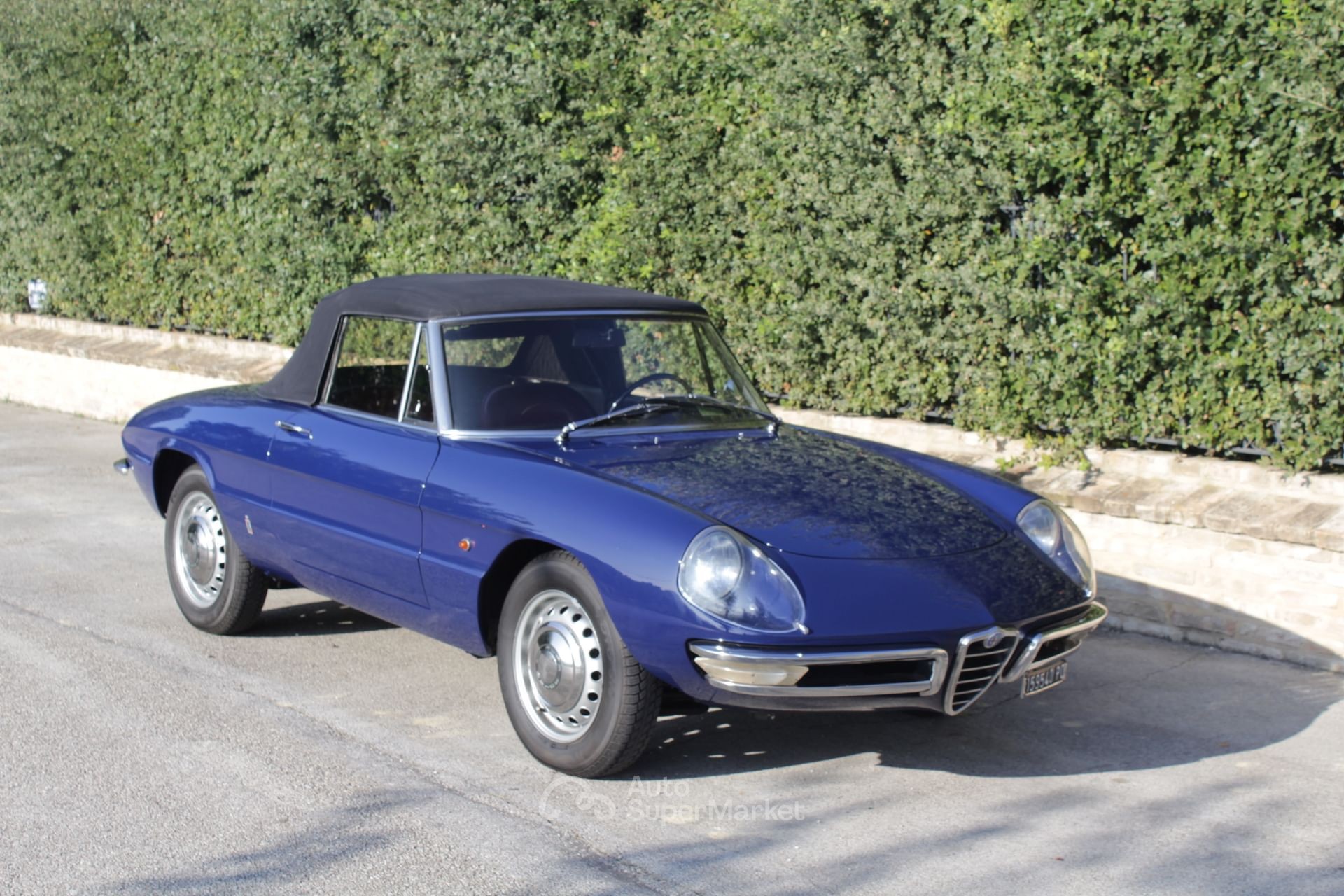 Alfa Romeo Spider