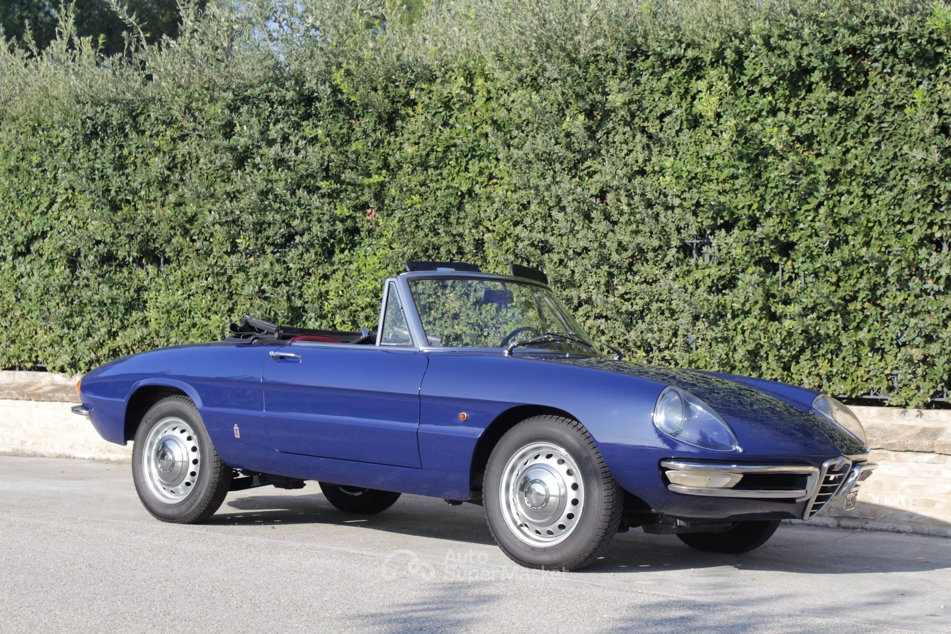Alfa Romeo Spider