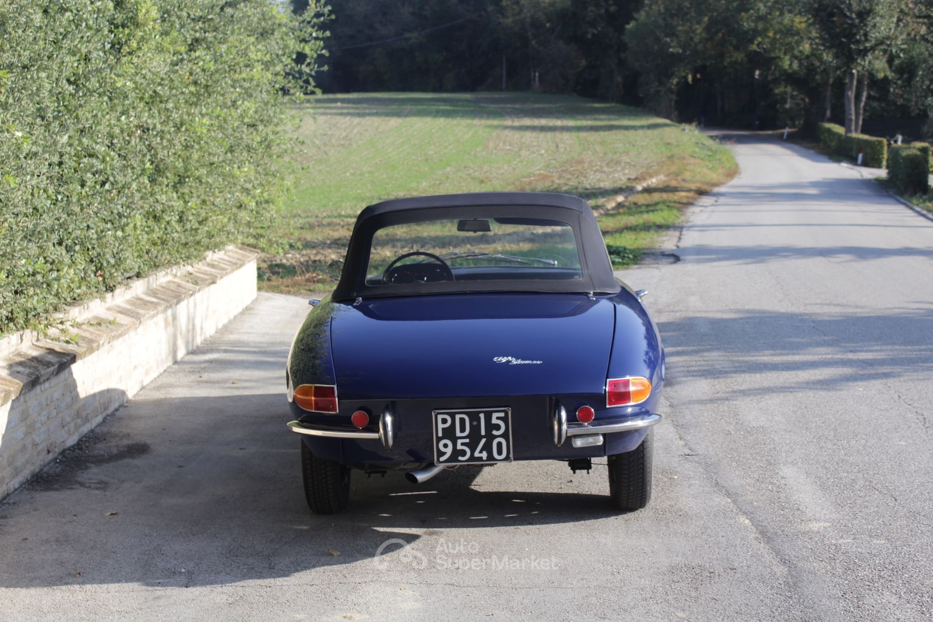 Alfa Romeo Spider