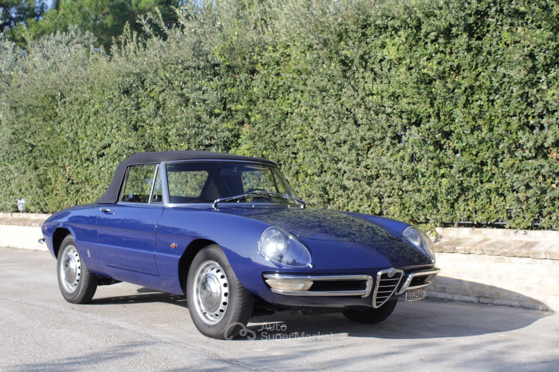 Alfa Romeo Spider