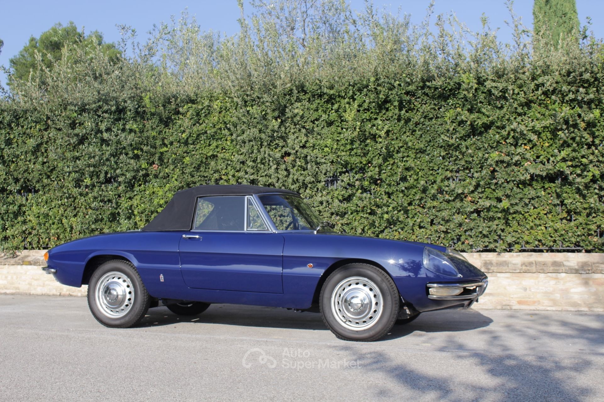 Alfa Romeo Spider