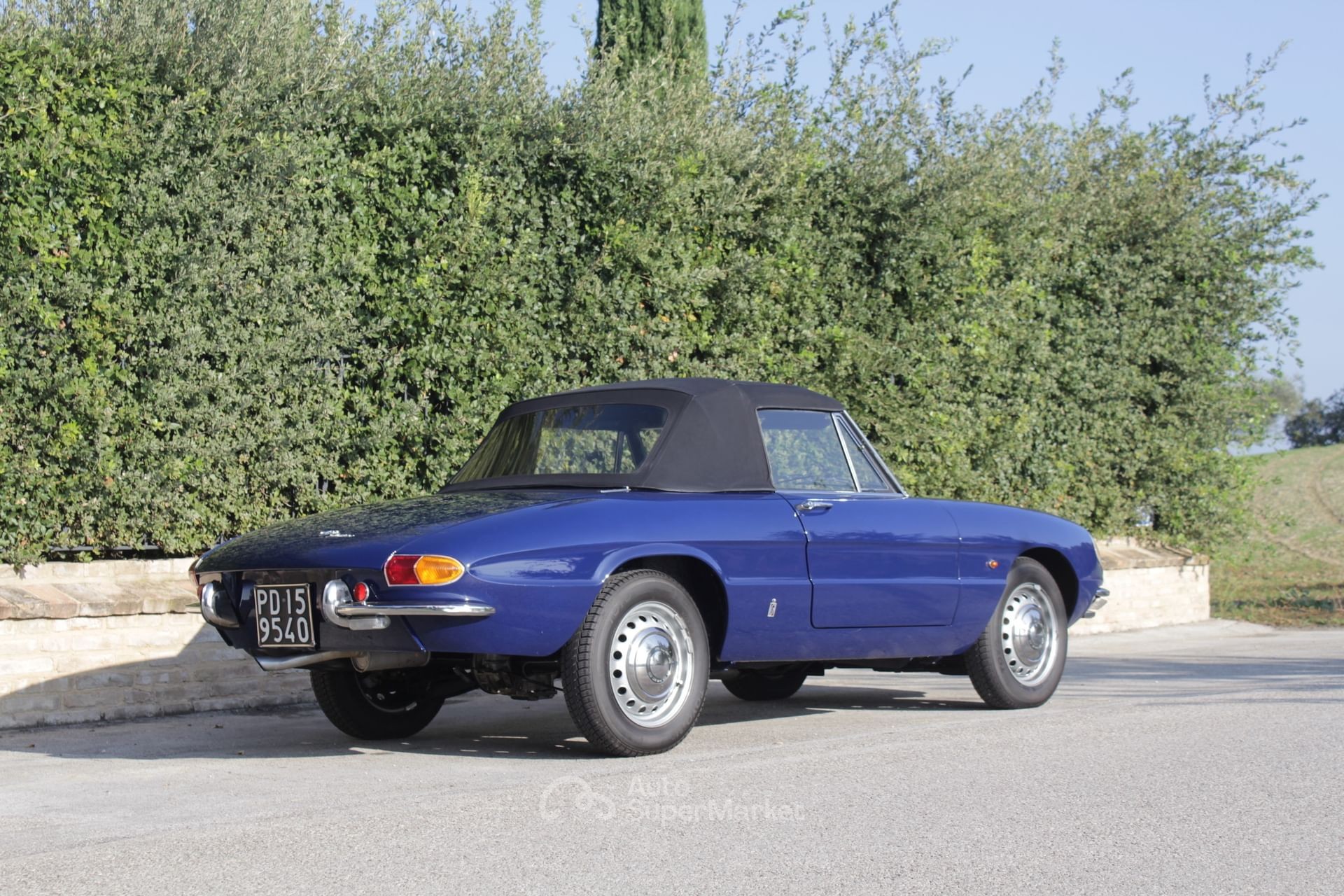 Alfa Romeo Spider