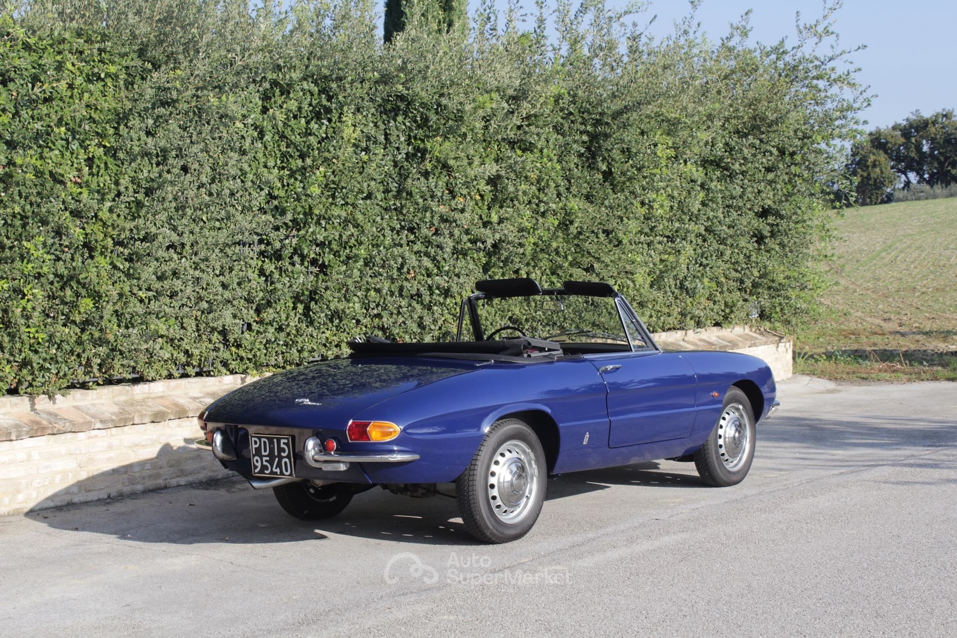Alfa Romeo Spider