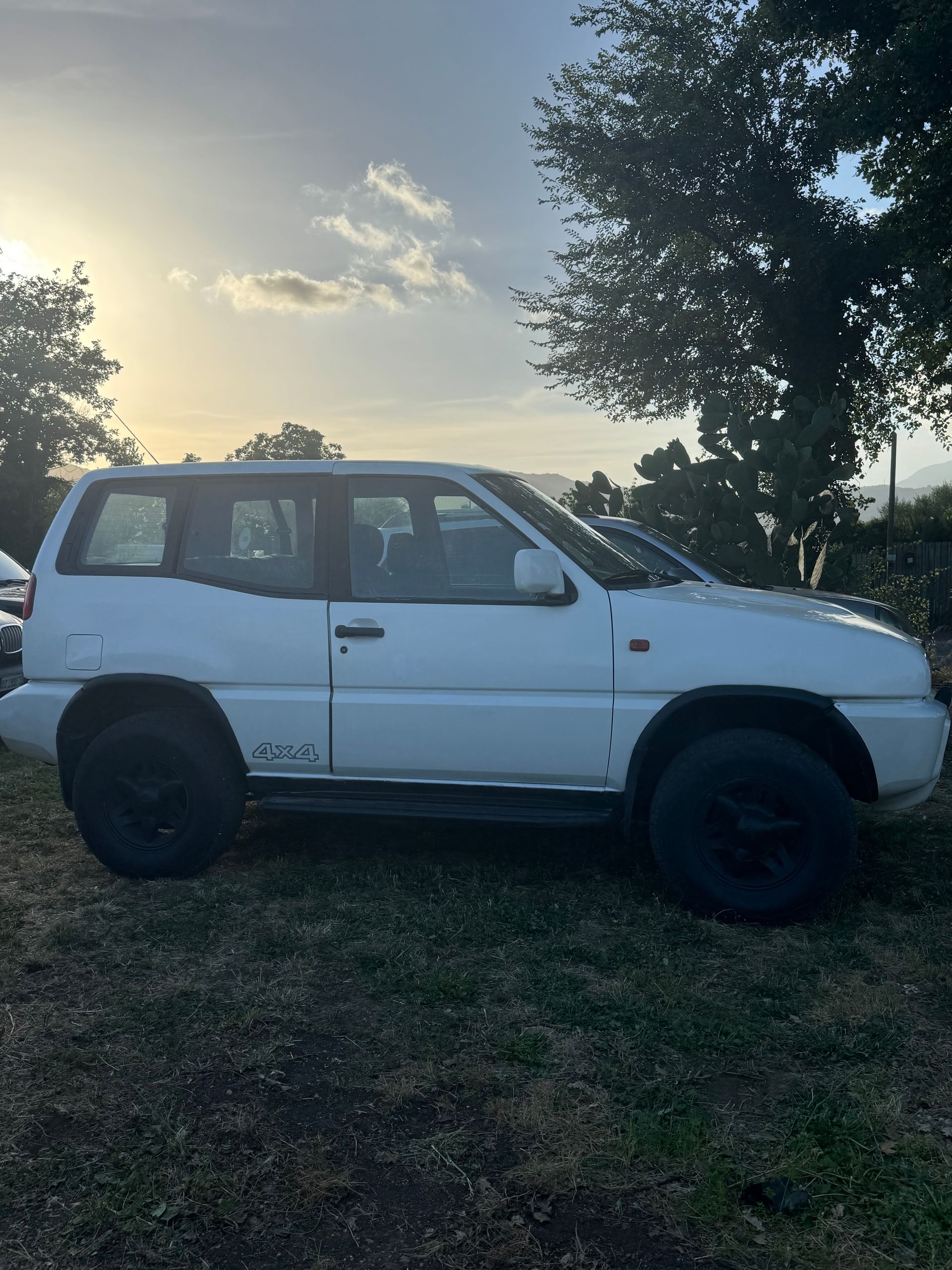 Nissan Terrano II