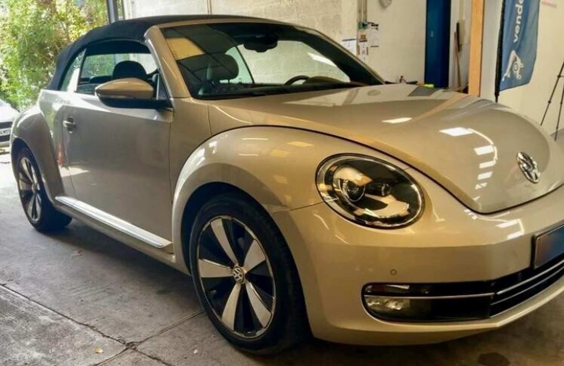 Volkswagen Maggiolino