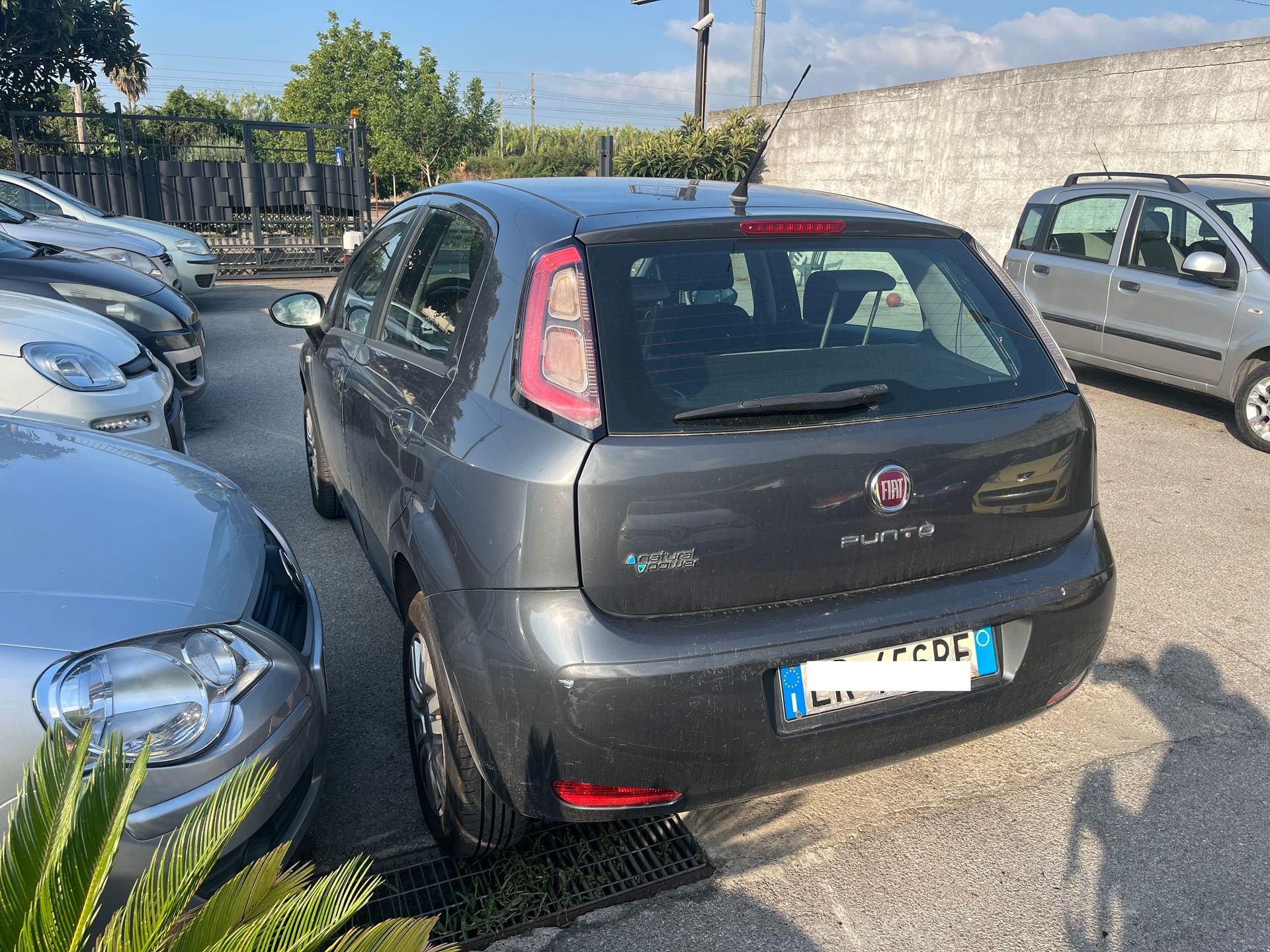 Fiat Punto