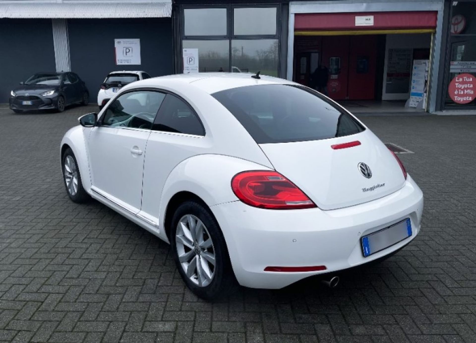 Volkswagen Maggiolino
