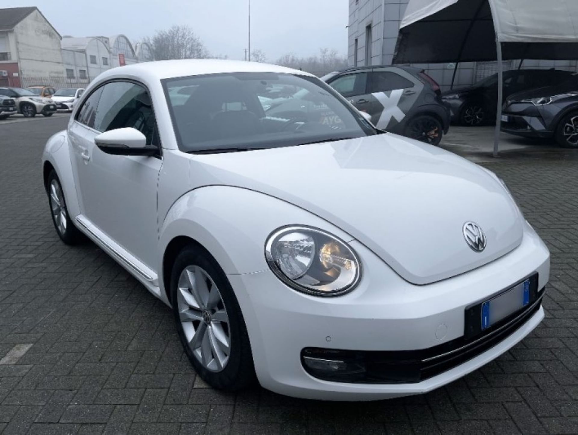 Volkswagen Maggiolino