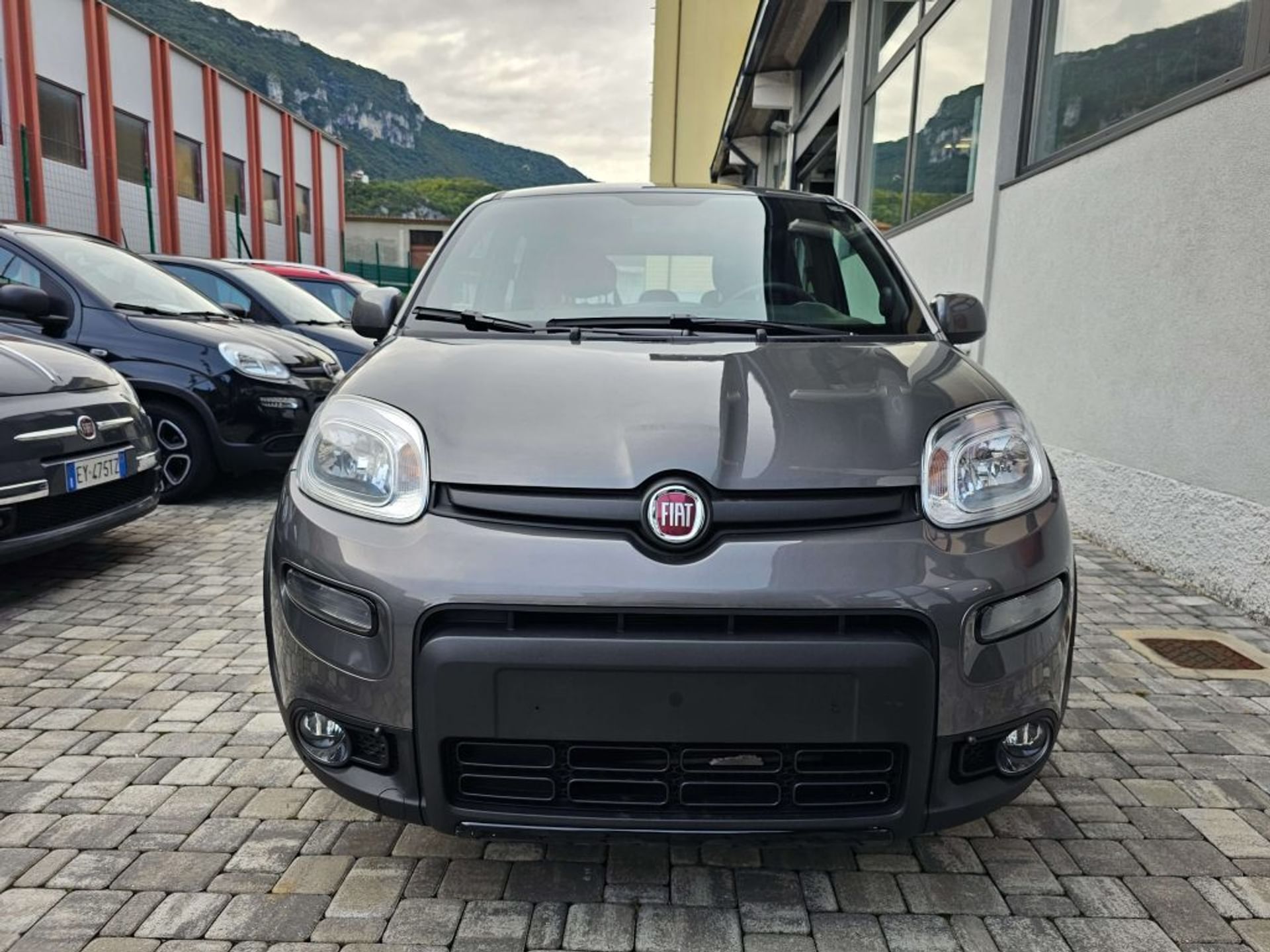 Auto KM0 Lecco FIAT Panda Ibrida 1.0 FireFly S&S Hybrid - Penati