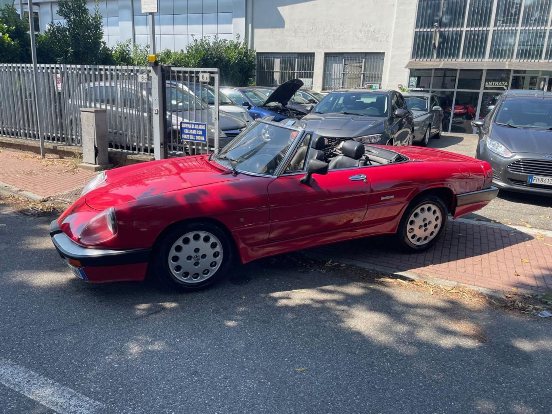 Alfa Romeo Spider