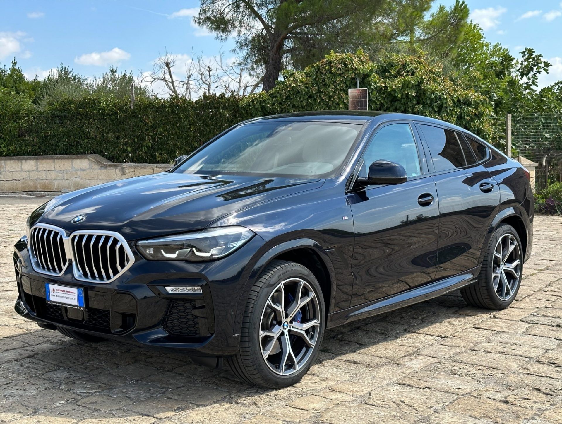 BMW X6