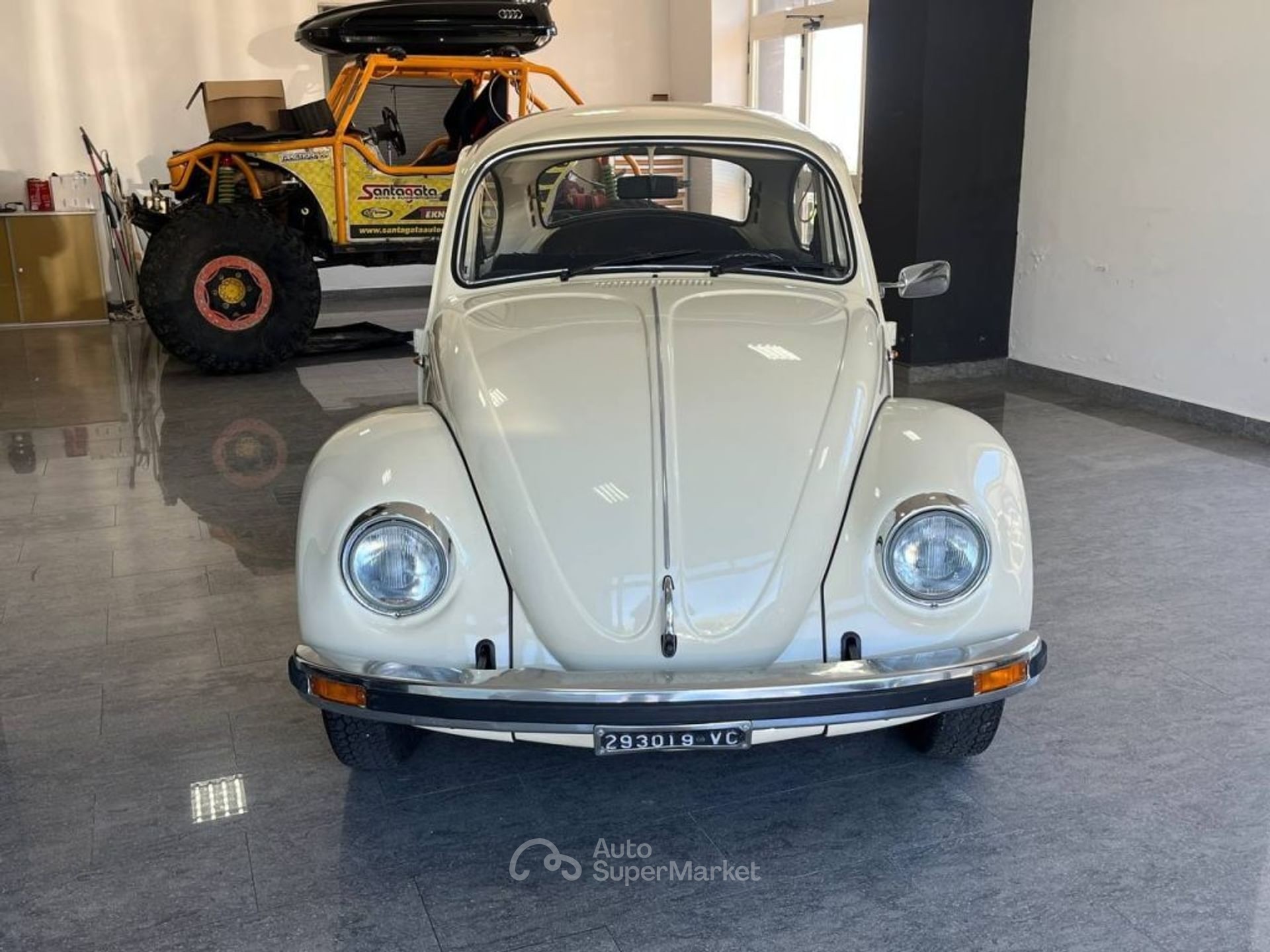 Volkswagen Maggiolino