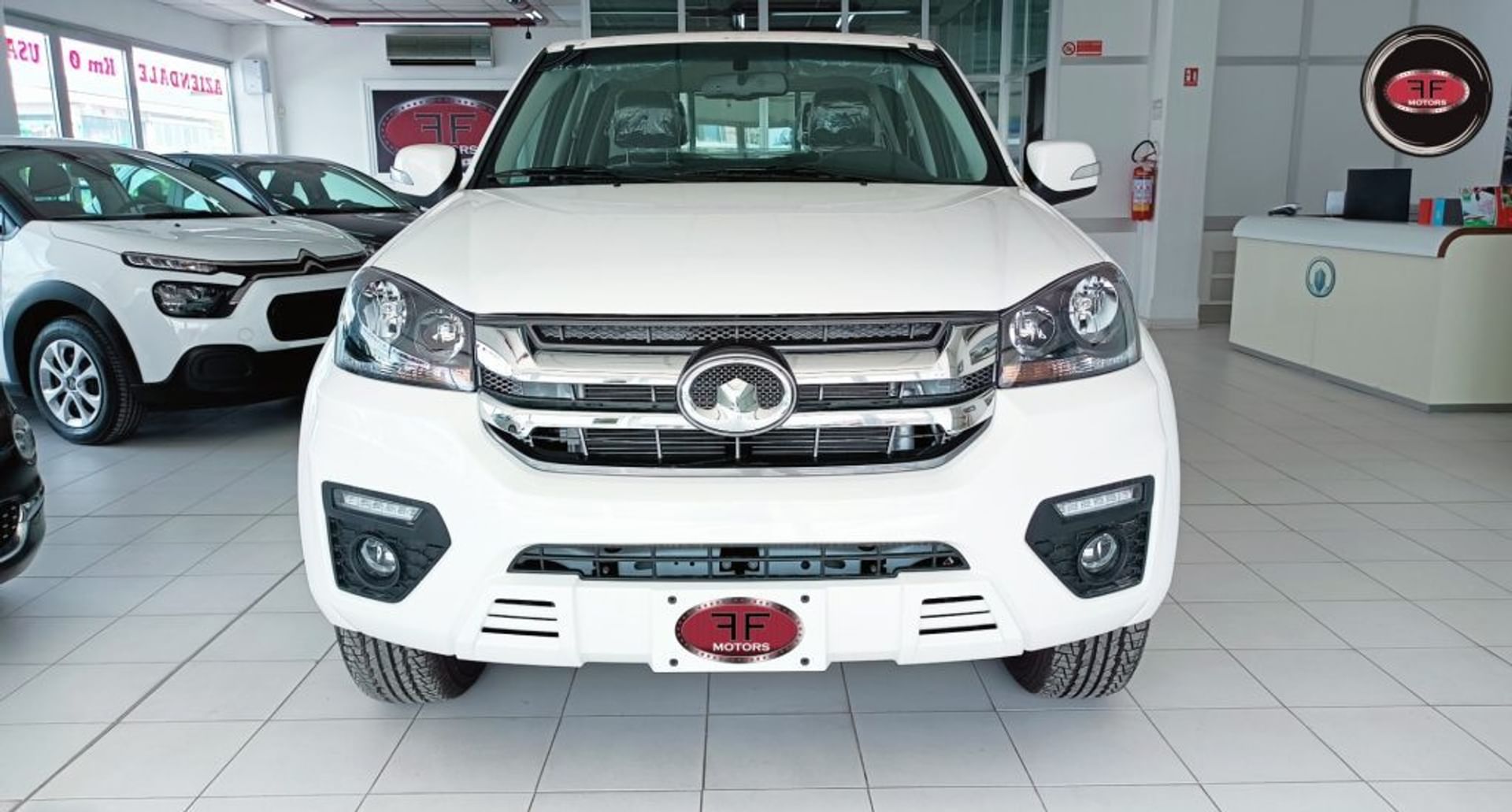 Great Wall Steed