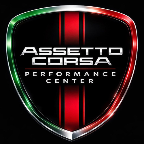 Logo di Assetto Corsa  |  Gruppo G.V.S.