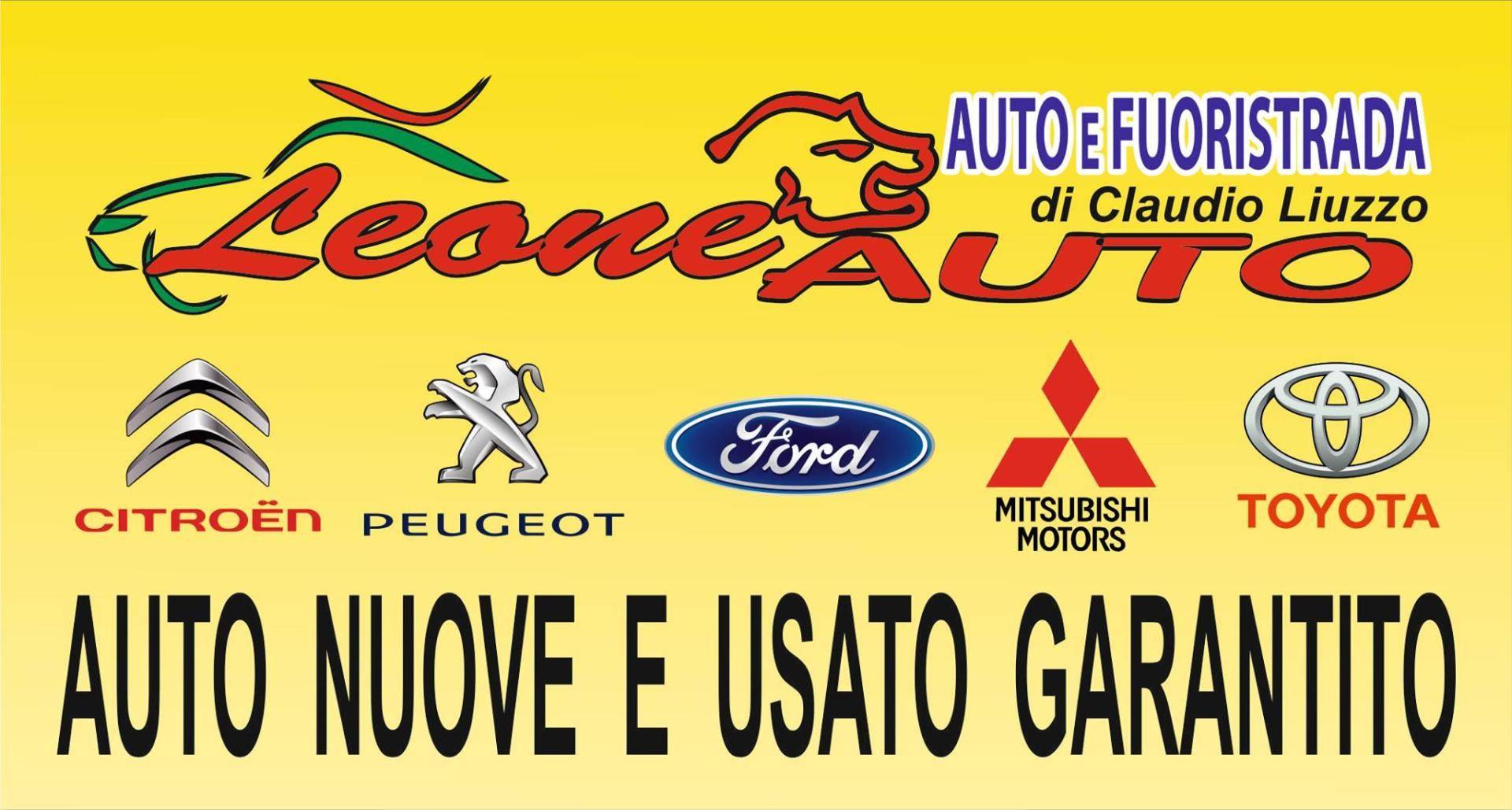 LEONE AUTO DI CLAUDIO LIUZZO
