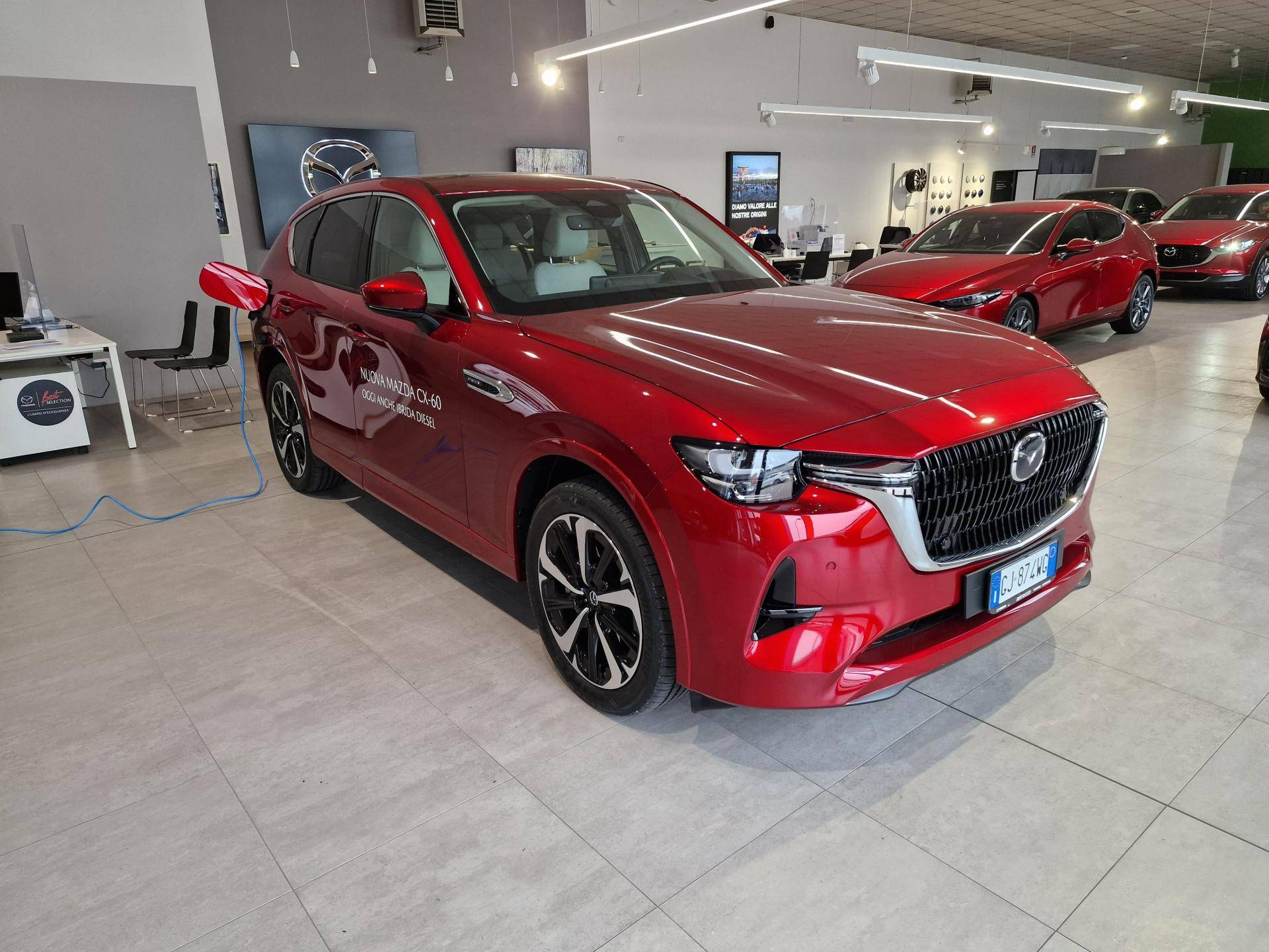 Pegaso Rent & Car Srl