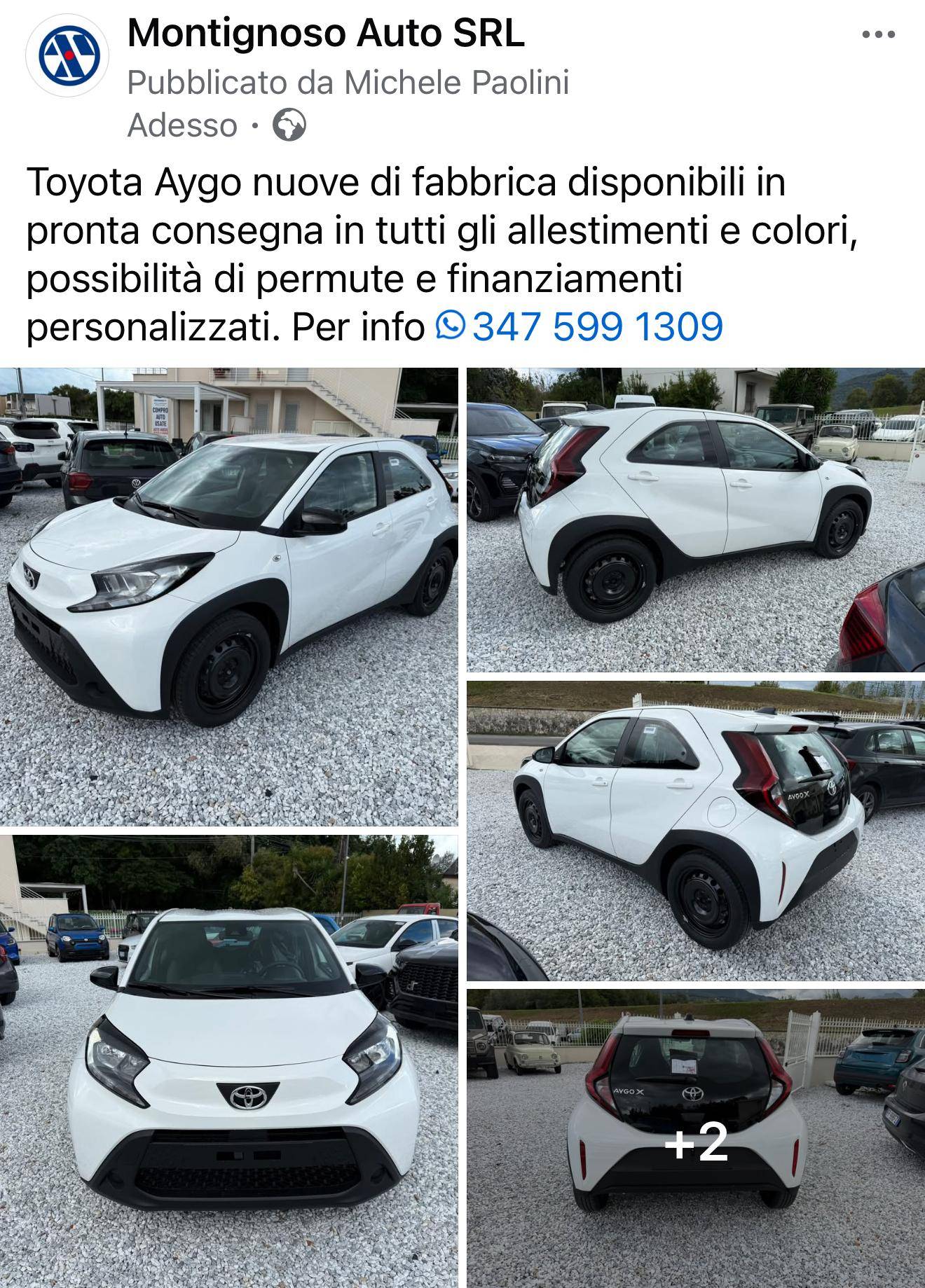 Montignoso Auto Srl