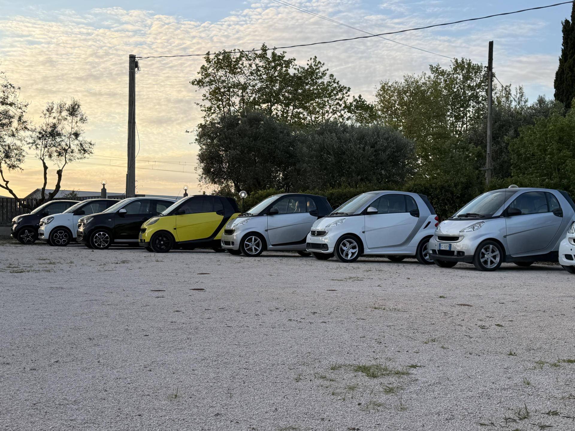 TOP MOTORS SRL