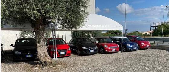 AUTOVERBANO DI CISTERNINO NORBERTO