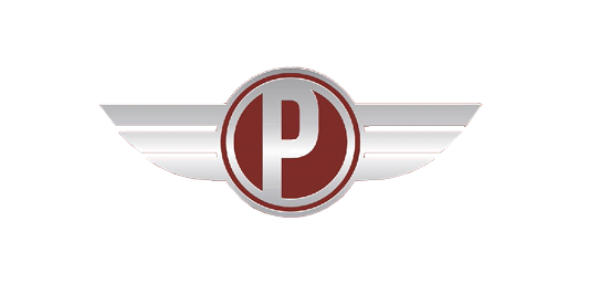 AUTOSALONE PAUL S.R.L
