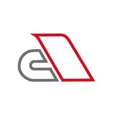 CARINI AUTO - S.R.L.