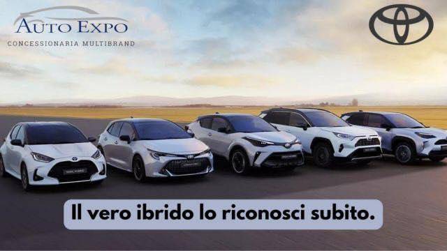 AUTO EXPO DI ACCOMANDO DARIO & C. SAS