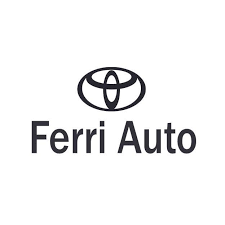 Ferri Auto Srl
