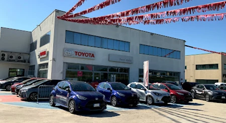 Ferri Auto Srl