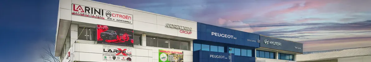 ANDREA LARINI GROUP