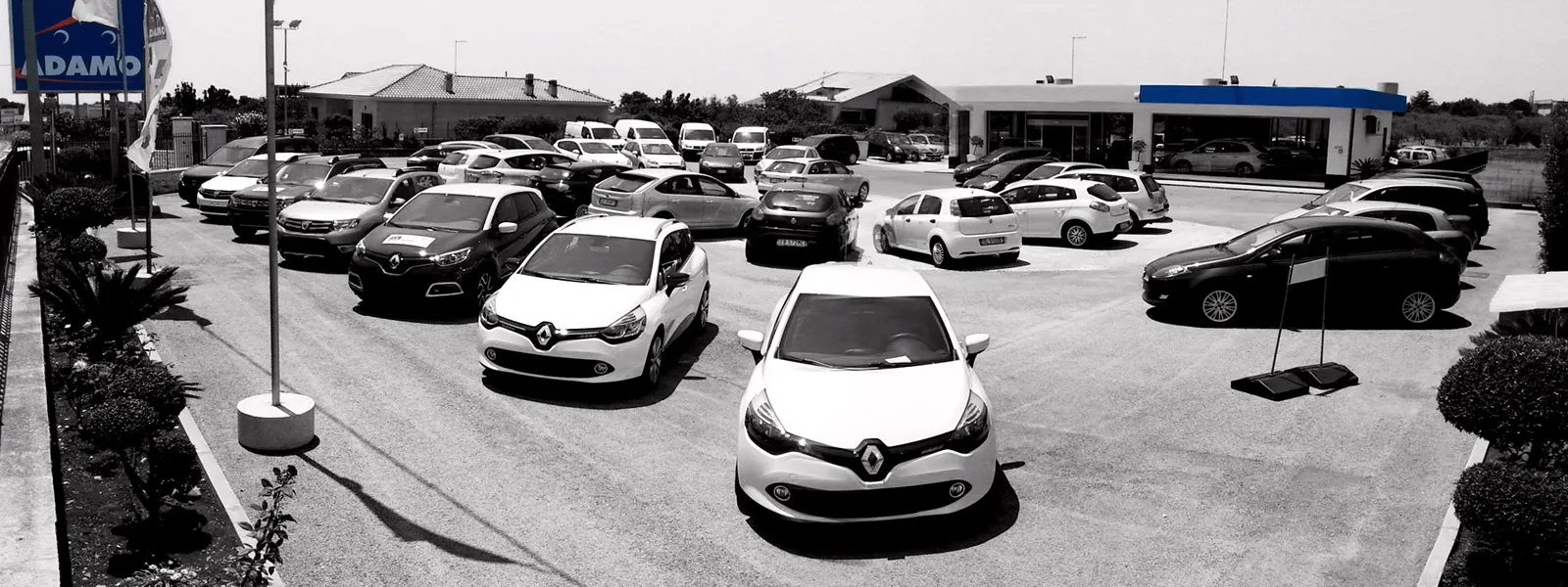 ADAMO AUTO S.R.L.
