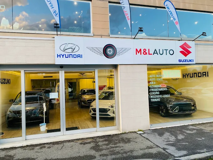 M & L AUTO SRL