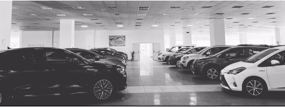 Salinauto Srl