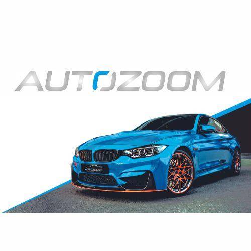 Logo di AUTOZOOM DI BINI DAVIDE