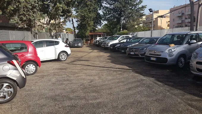 READY TO DRIVE SOCIETA' A RESPONSABILITA' LIMITATA SEMPLIFICATA